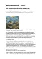 Schillerndes_Puzzle_aus_Wasser_und_Reis_NZZ_11112016_pdf__Seite_1_von_3_