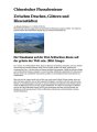 Spintisieren_auf_dem_Jangtse_NZZ_11112016_pdf__Seite_1_von_3___2_Dokumente__6_Seiten_insgesamt_